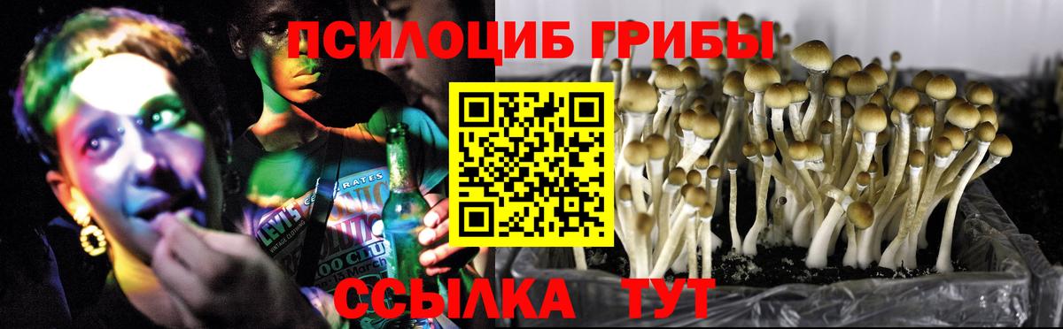 Галлюциногенные грибы Cubensis  Вход с VPN  где купить   Черногорск 